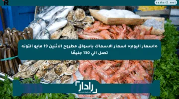 «أسعار اليوم» أسعار الأسماك بأسواق مطروح الاثنين 19 مايو التونة تصل إلى 130 جنيهًا